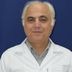رامین کردی