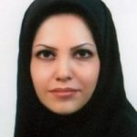 نشاط شیخ المشایخی