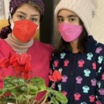 افسون مطلبی