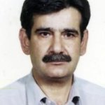 سعید مدنی