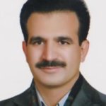 بهمن محمدی