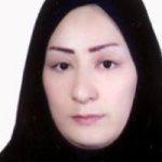 مروارید فیاض ذوالفقاری