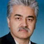 بهمن قرنجیک