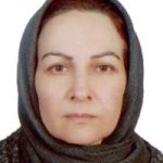 سیده معصومه ترابی