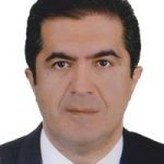 سعید صنعتی