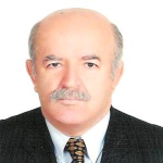 ناصر صادقیان