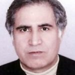 محمدرضا شاهرخی