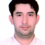 امیر داودی
