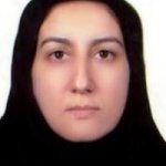 میرزاده موسوی شبستری