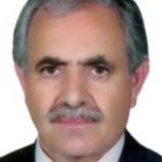 امیر سجودی حسنلویی