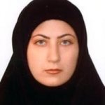 بهارک فاضلی