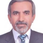 محسن ارمیده