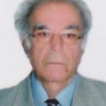 ابوالحسن انصاری