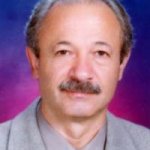 ناصر کنی