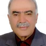 حسن سلطانی