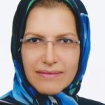 نگین سلطان زاده