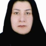 عزیز النساء بامدی