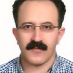 شاهرخ ولوی