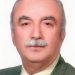 مصطفی انوری