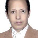 شاهرخ دهلوی