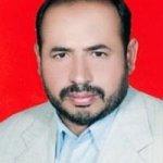 ناصر سیاحی