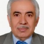 سیدمحمد حسن زاده شیرازی
