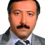 حسن فتحی