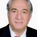 سیدمصطفی موسوی ارفع