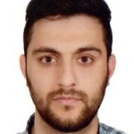 محمدجواد عبدالحی