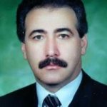 ایرج رویین دژ