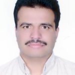 دکتر محمدحسین زارع مهرجردی