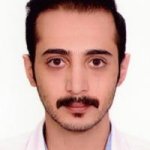 محمدحسین قمی اویلی