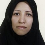 فاطمه فتحی میمندی