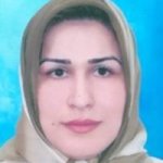 فاطمه چیتی