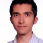 کوشا پایداری
