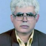 محمدجواد میربلوک
