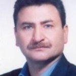 حسین افضلی