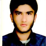 ساسان ویسی