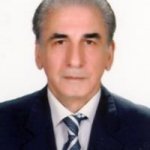 بهزاد برومند