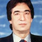 ایرج ملک پور