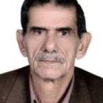 محمدحسین عباسی