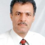 اریا عمیدی