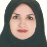 سونیا شریفی نمین