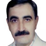 محمدحسین مسگرزاده