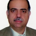 ولی اله حسنی