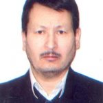 حسین محمدی اصل