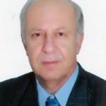 رضا یحیی زاده