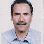 علی ولی زاده