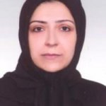 نیلوفر حاجی زاده