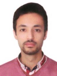دکتر مهدی فرخی استاد